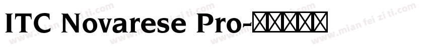 ITC Novarese Pro字体转换